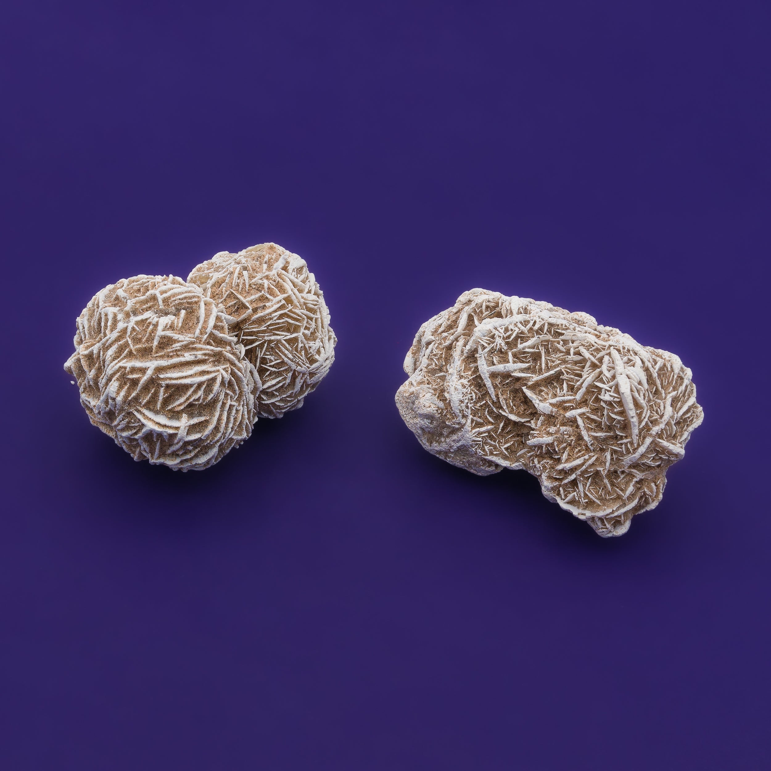 Desert Rose Cluster $20